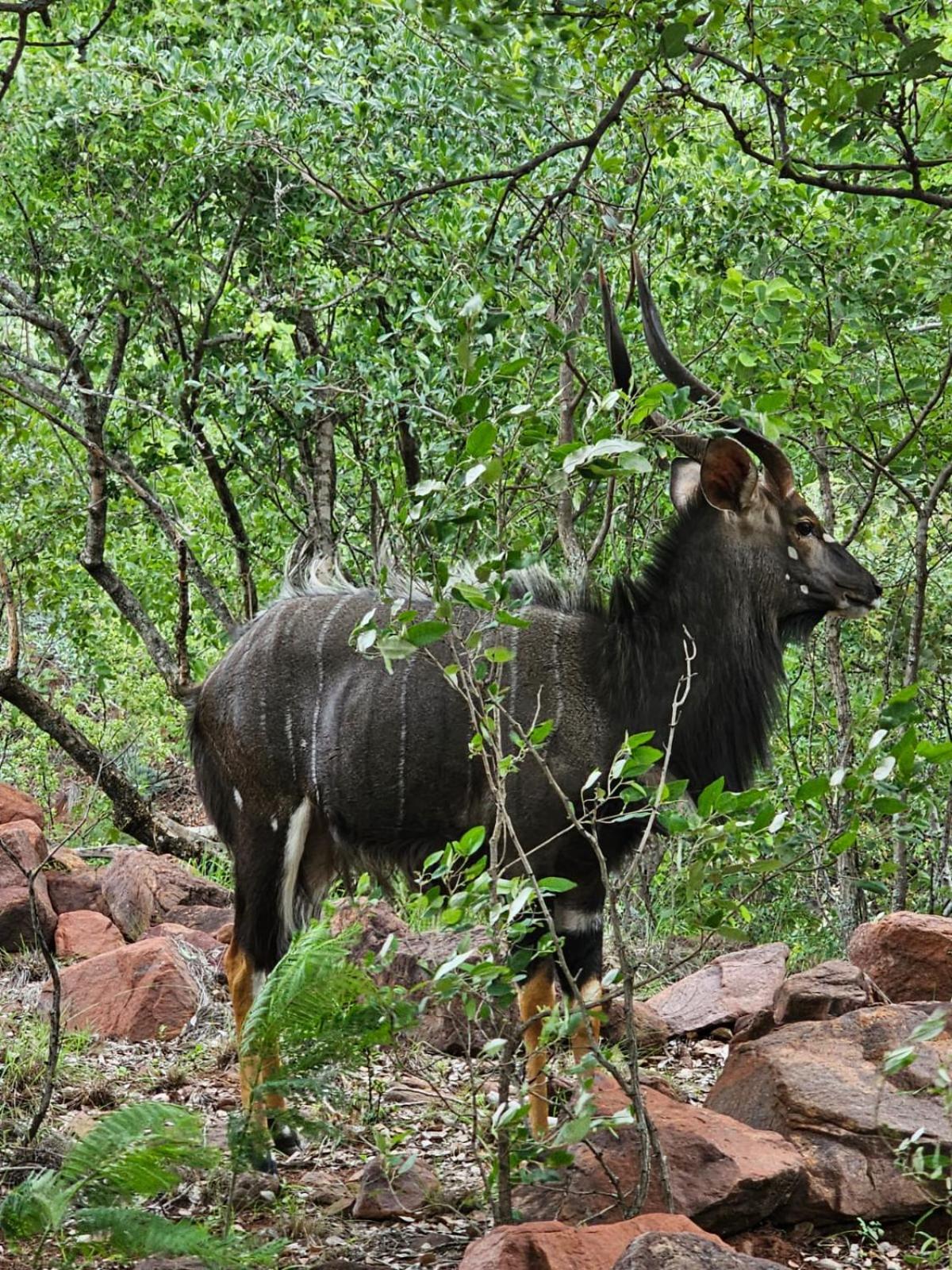 Waterfall Safari Lodge Winterkamp Exterior foto